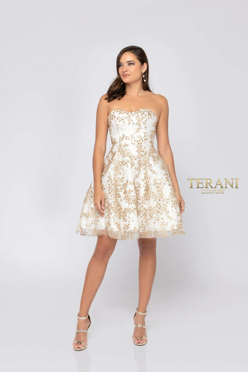 A-line graduation, party, or wedding guest dress from Terani